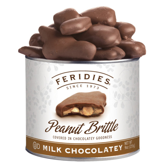 9oz Chocolatey Covered Peanut Brittle