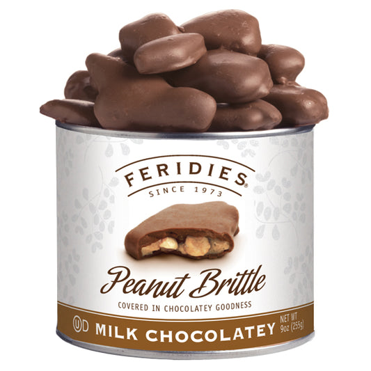 9oz Chocolatey Covered Peanut Brittle